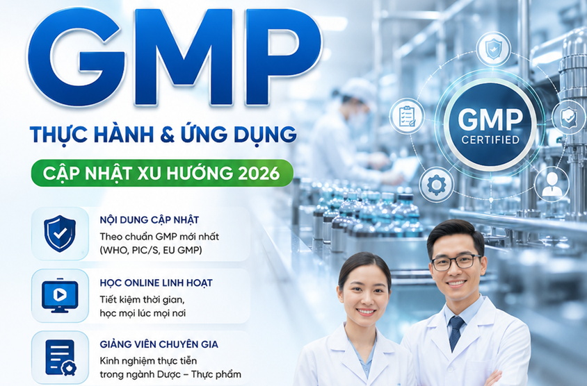 Tư vấn GMP, Tư vấn GMP WHO, Tư vấn GMP PICs, Các nguyên tắc thực hành sản xuất tốt theo tiêu chuẩn GMP