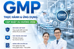 Tư vấn GMP, Tư vấn GMP WHO, Tư vấn GMP PICs, Các nguyên tắc thực hành sản xuất tốt theo tiêu chuẩn GMP