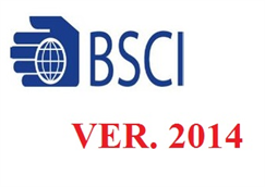 Tư vấn BSCI, Bộ quy tắc tuân Thủ Trách Nhiệm Xã Hội trong Kinh Doanh (BSCI) phiên bản mới năm 2014 cho Công ty QMC Natural Handicraft