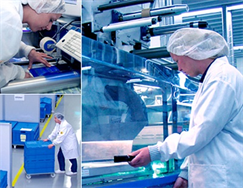 GMP consultants, HACCP consultants - About HACCP management standards