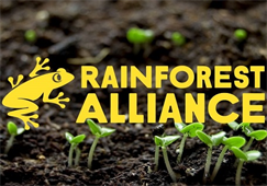 Tư vấn Rainforest Alliance, Chứng nhận Rainforest Alliance- Tiêu chuẩn nông nghiệp bền vững - Các yêu cầu với trang trại và Nhà máy chế biến nông sản trong chuỗi cung ứng toàn cầu
