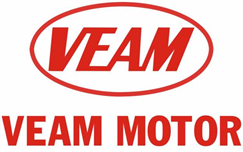 ISO 9001 training course and ISO 14001 training course at VEAM Motor corporation.