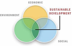 Phát triển bền vững- Tại sao các tổ chức và doanh nghiệp phải định hướng phát triển gắn liền với tăng trưởng bền vững?