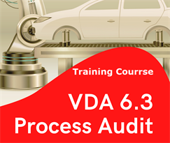 Process audit according to the VDA 6.3 ver.2016 latest for the automotive industry