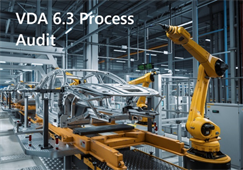 Khoá đào tạo VDA 6.3 phiên bản 2023 - Tiêu chuẩn Đánh giá Quá trình (Process Audit) Quản lý Chất lượng QM trong ngành công nghiệp Ô tô tại Công ty DongSung Vina (Korea) đủ điều kiện vào chuỗi cung cấp linh kiện vào chuỗi Ô tô Đức