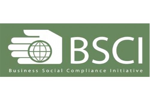 BSCI Consultant in Vietnam (Business Social Compliance Initiative)