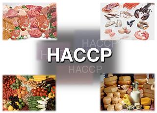 HACCP consultants, GMP consultants - HACCP principles to build Food safety management systems.