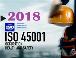 ISO 45001: 2018 Consultancy