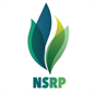 Nghi Son Refinery and Petrochemical LLC (NSRP)